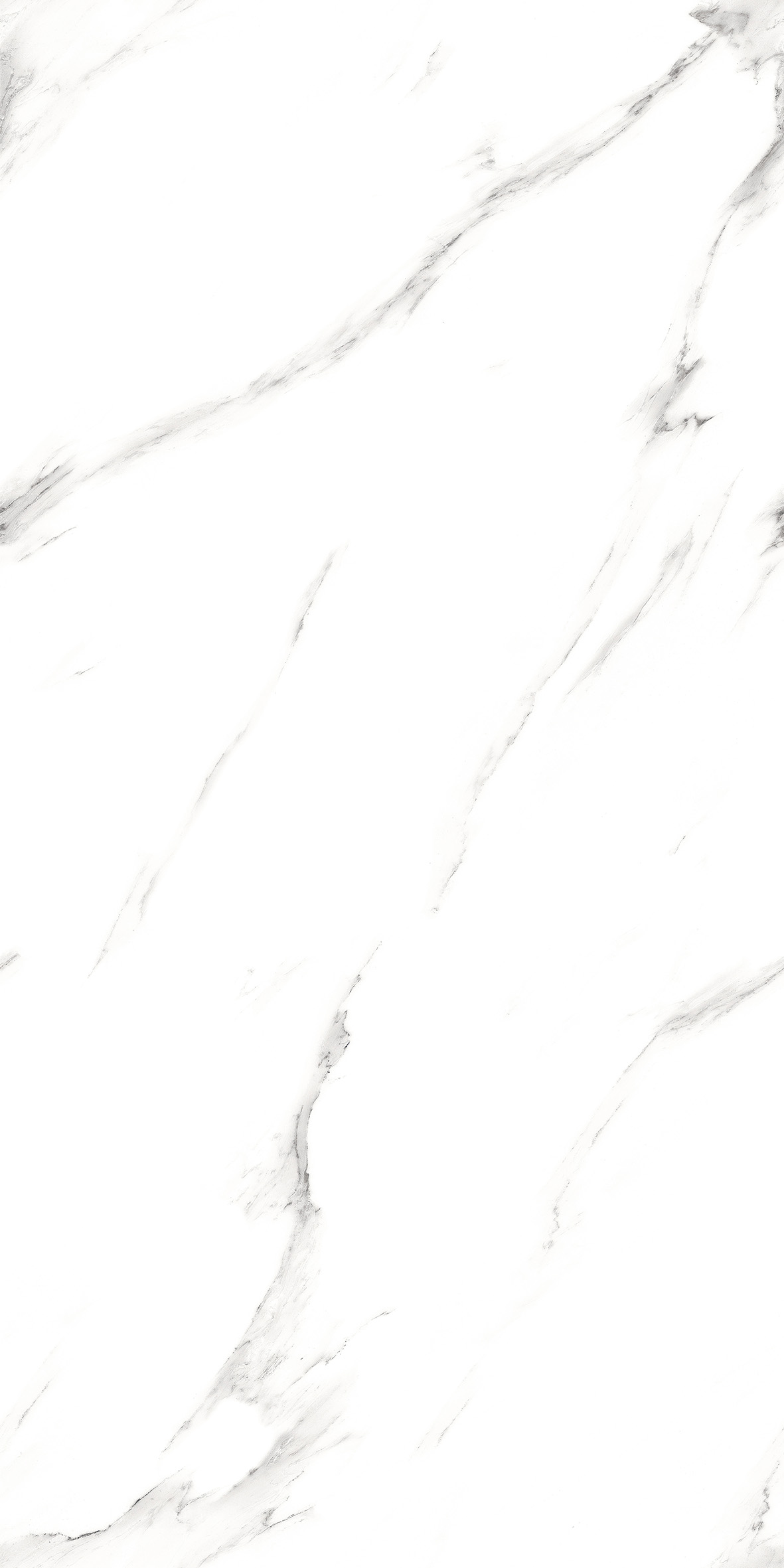 EL-STATUARIO FANTASTICO R1--GLOSS.jpg
