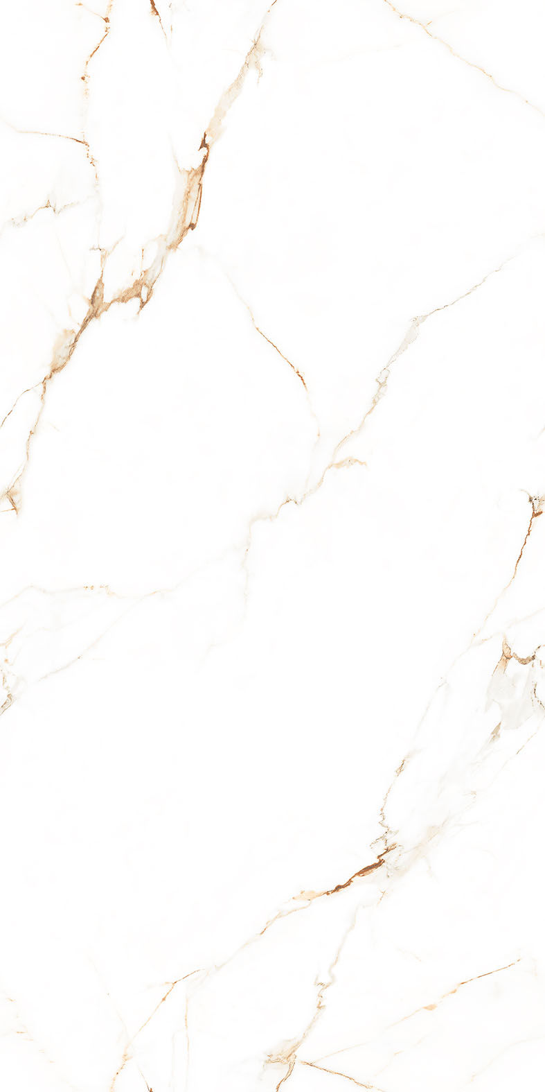 EL-STATUARIO PRIME-R1--GLOSS.jpg
